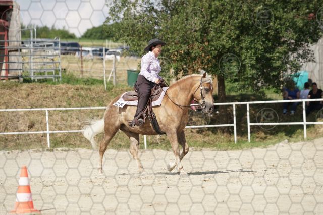 s_K3F07442.JPG